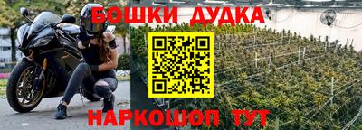 ALPHA PVP Обь