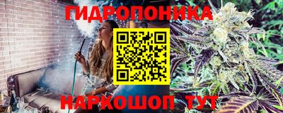 ALPHA PVP Обь
