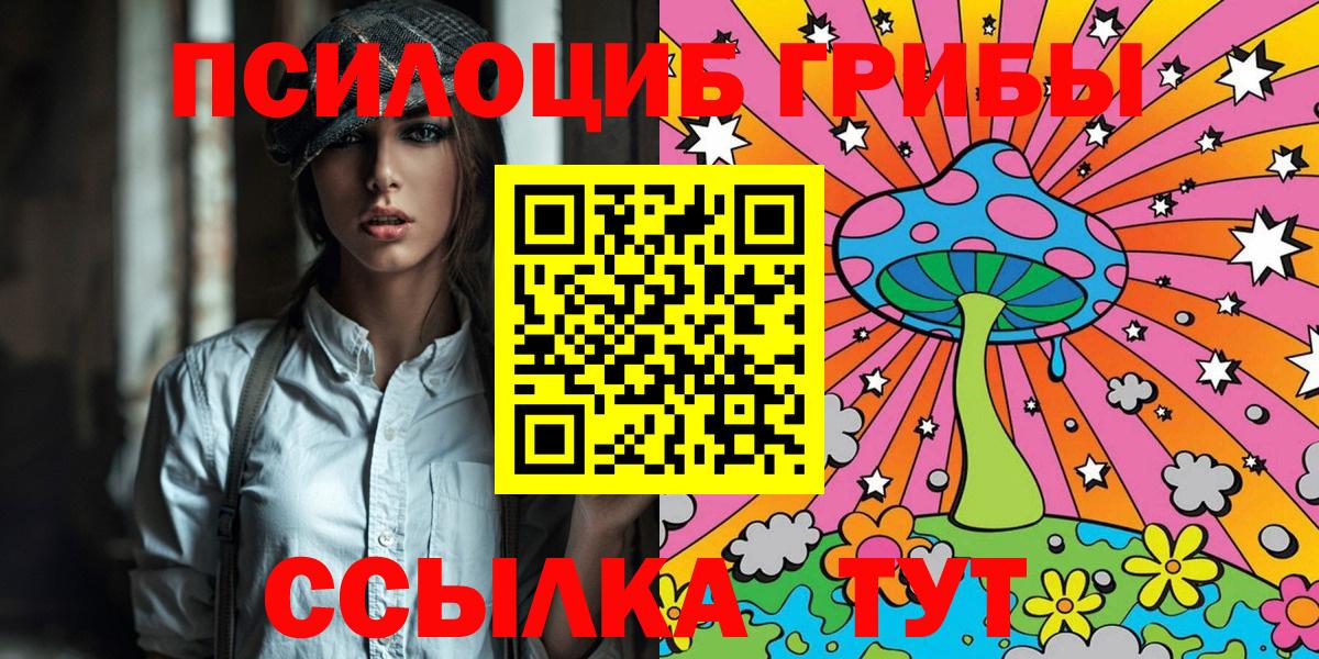 Псилоцибиновые грибы Psilocybe Пыть-Ях